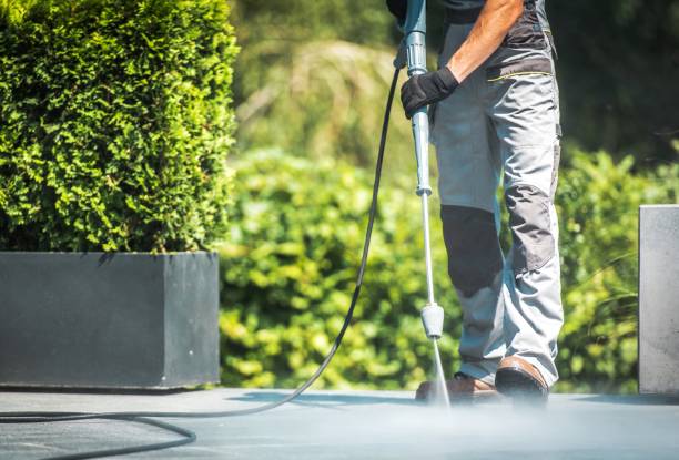 Animal Enclosure Cleaning in Chowchilla, CA